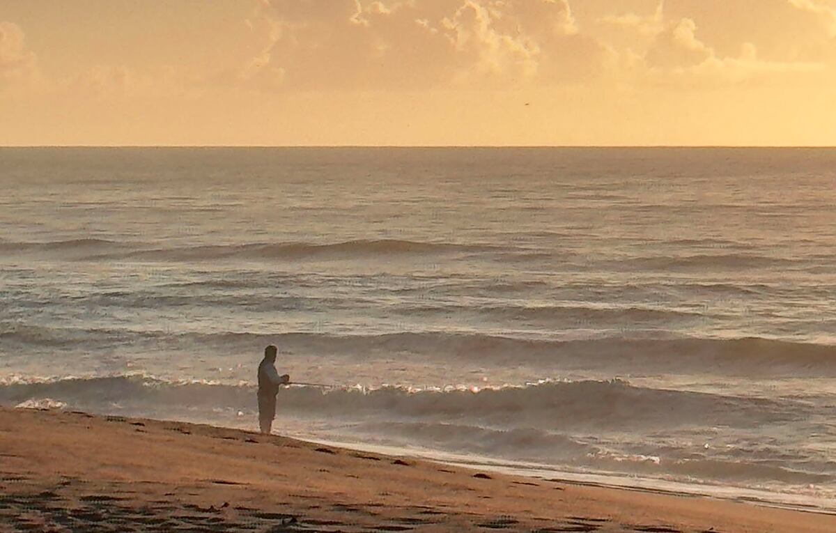 José Ignacio.