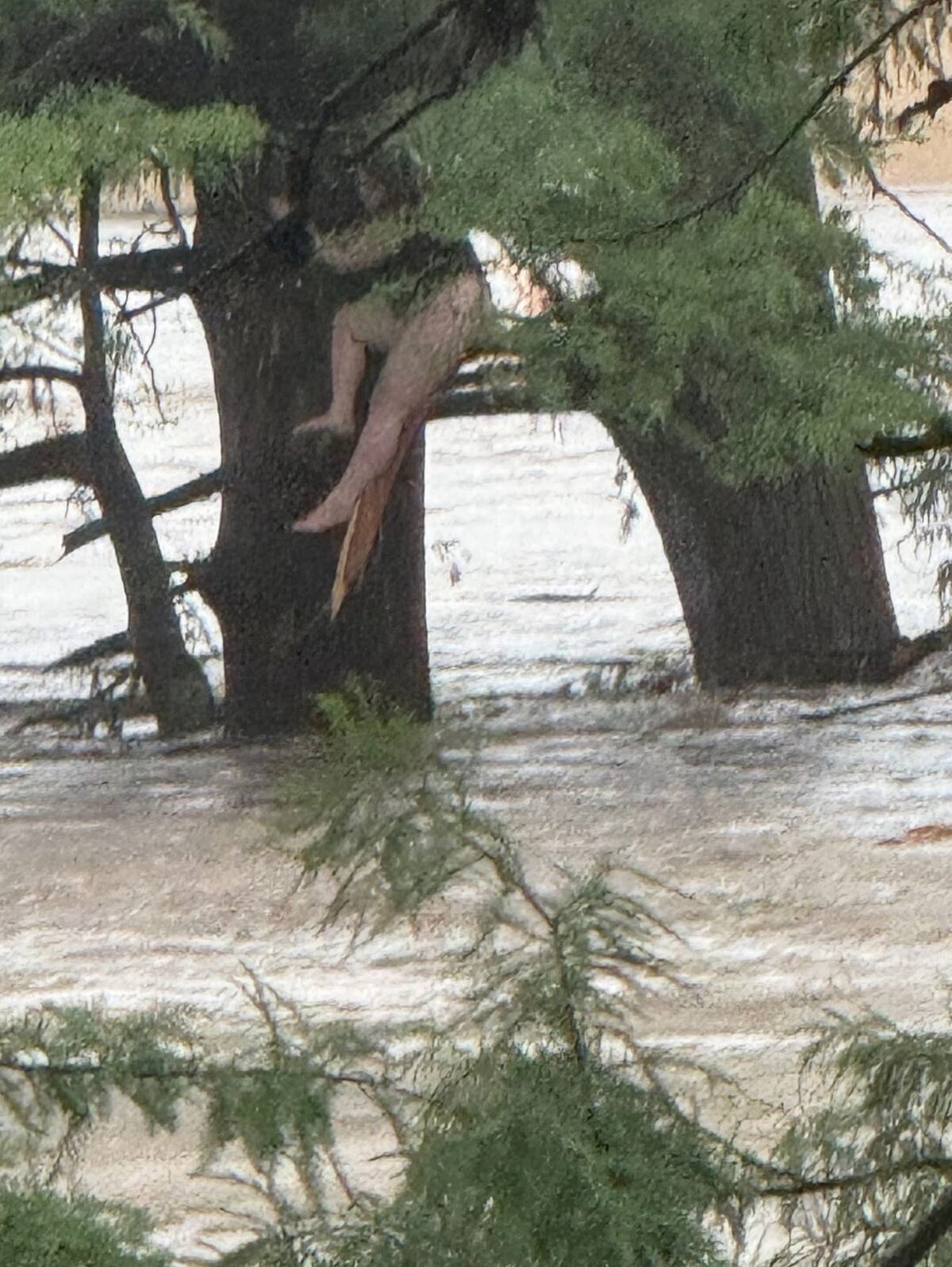 Trágicas inundaciones en Texas, Estados Unidos.