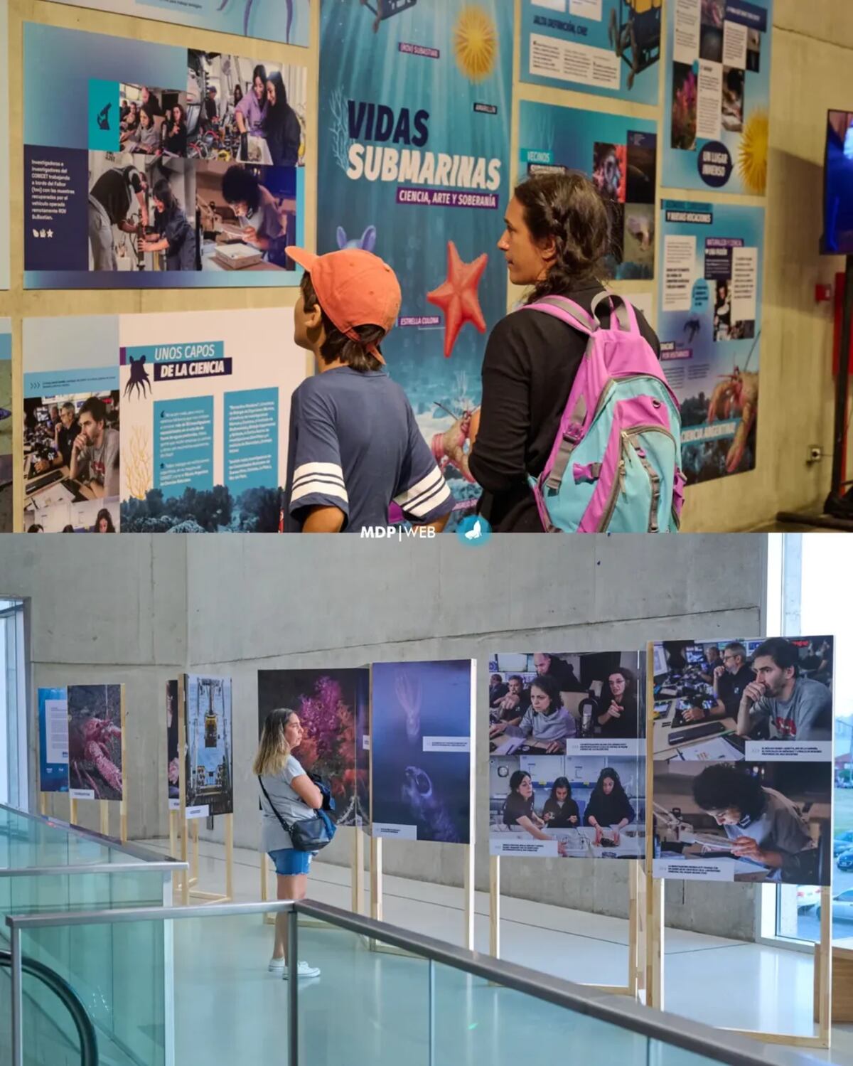 El Museo MAR presenta Vidas Submarinas, que combina ciencia y arte.