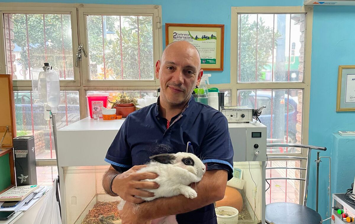 El mundo oculto de lo exótico: un día en la vida del veterinario de mascotas no convencionales en Córdoba. (La Voz)