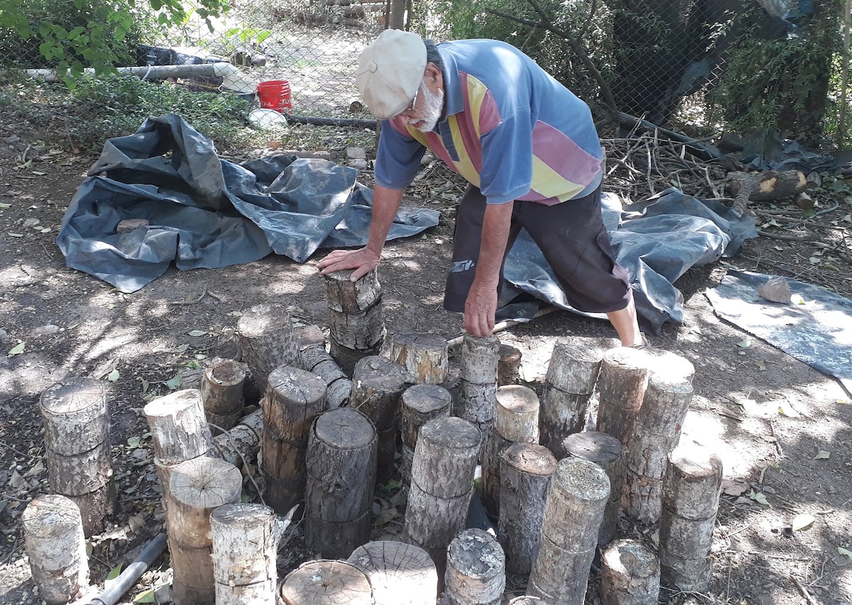 Rodolfo Trabalón produce gírgolas en Unquillo. En troncos se cultivan los hongos (La Voz)