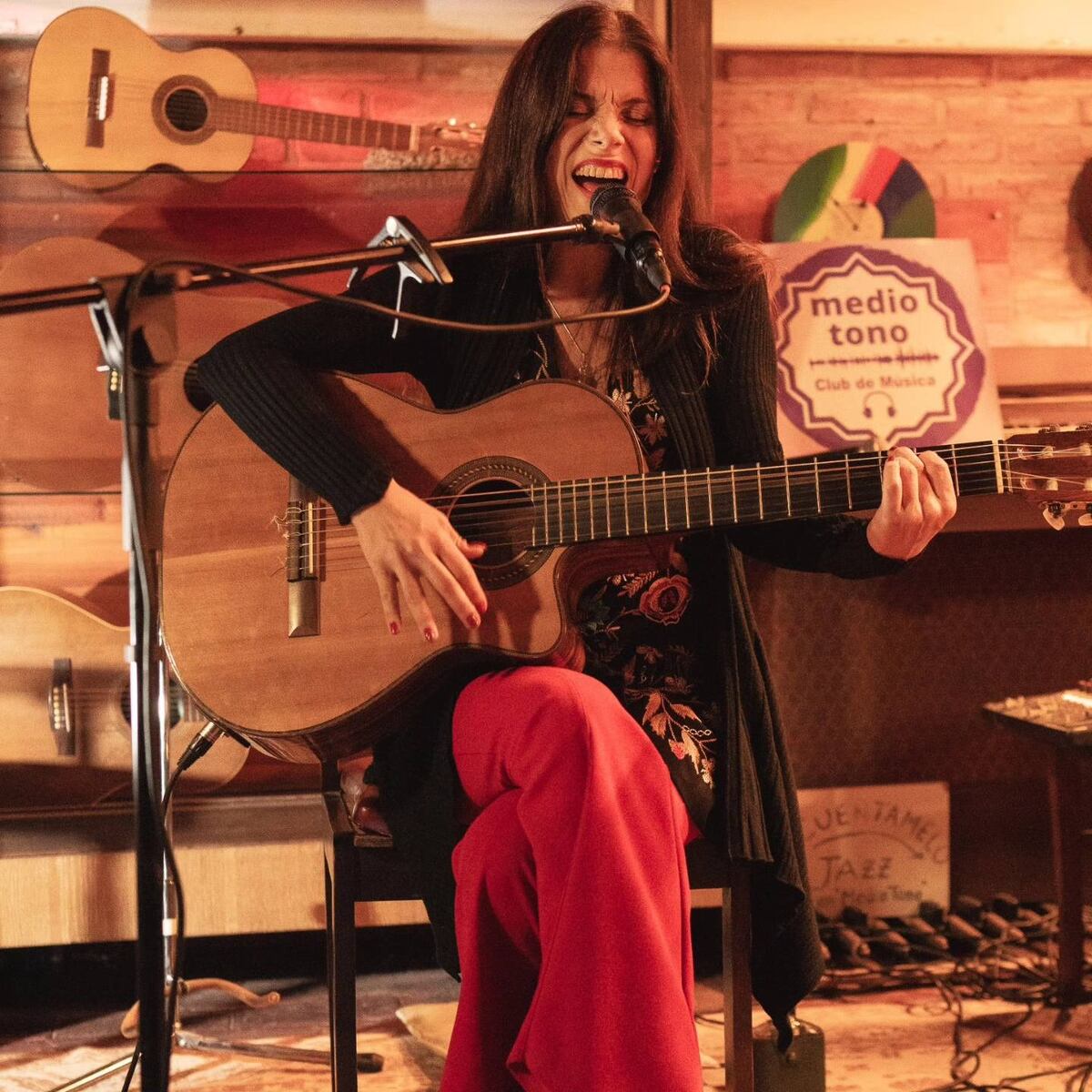 Medio Tono, sala de conciertos y bar en Villa Los Aromos.