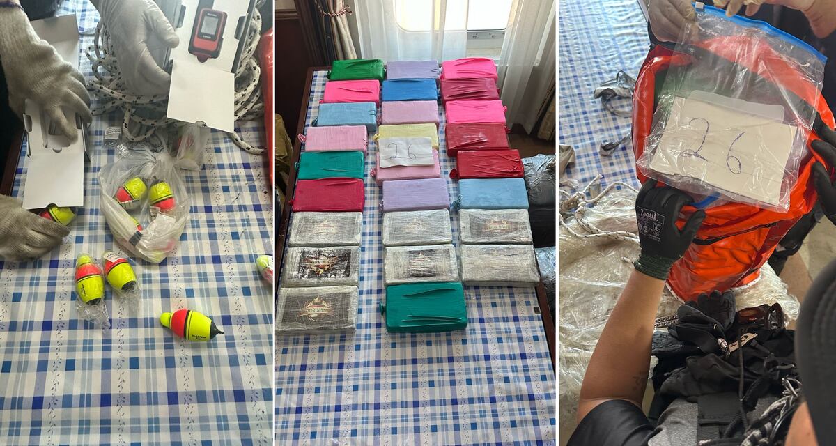 Santa Fe: encontraron más de 480 kilos de cocaína en un buque que venía de Emiratos Árabes. (Gentileza)