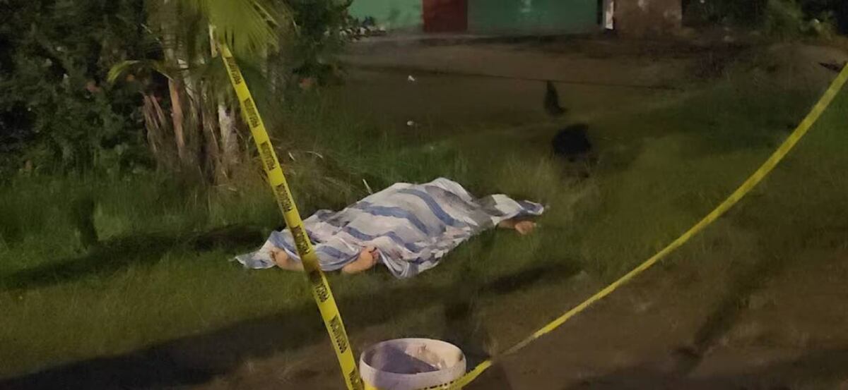 Tras discutir con su esposa, un hombre mató a cuchillazos a cuatro de sus hijos y cinco personas más. (Foto: gentileza Dagbladdewes)