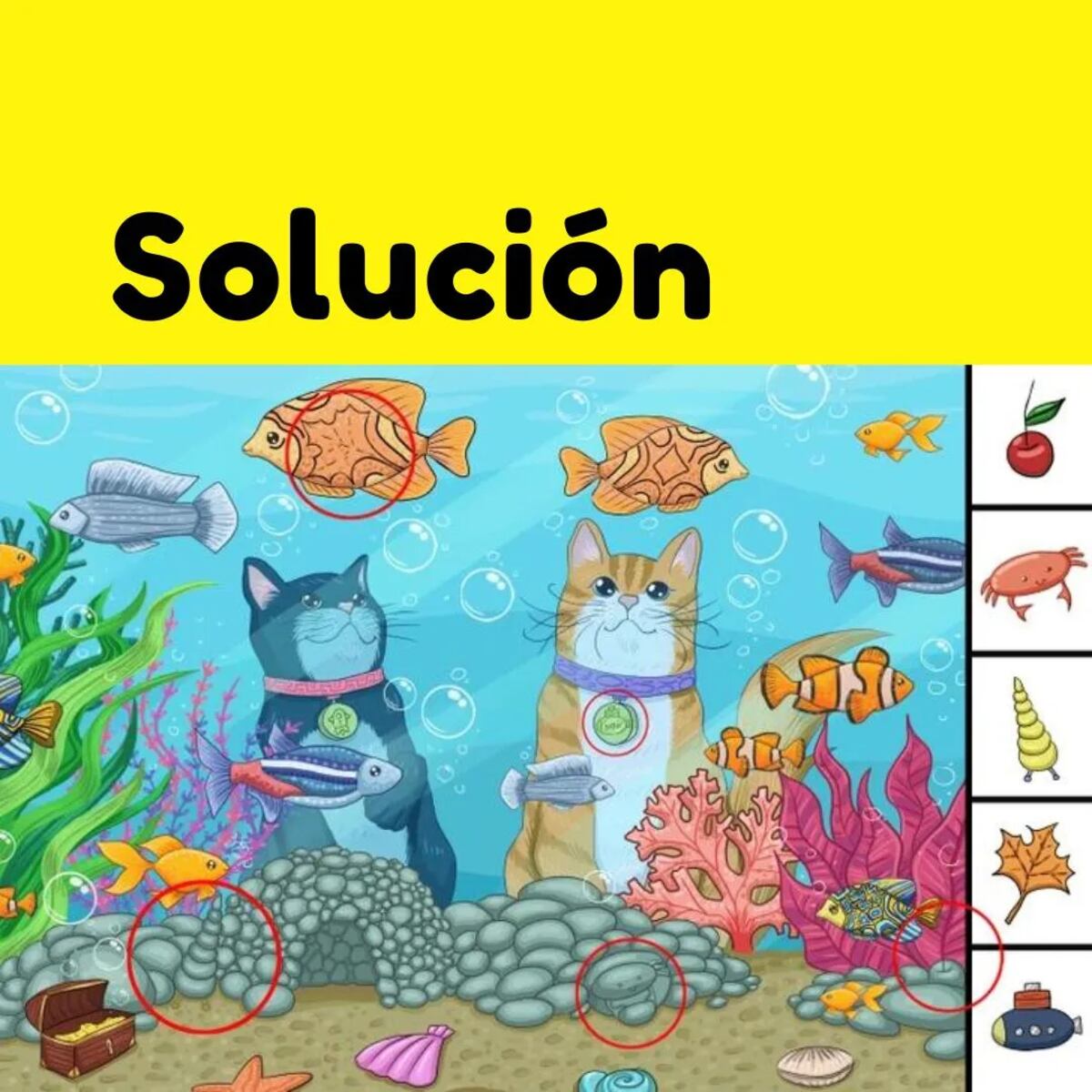 ¿Pudiste hallar los elementos?