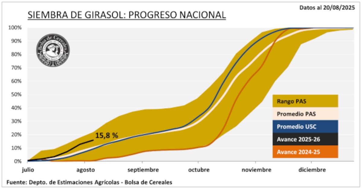 (Gentileza BCCBA)