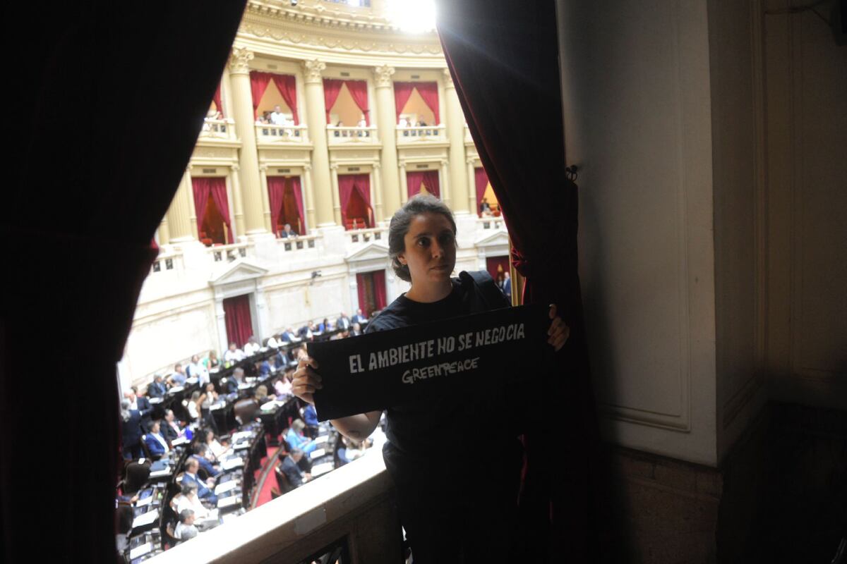 "Ley ómnibus". Greenpeace protestó en Diputados en medio de la sesión. (Federico López Claro)
