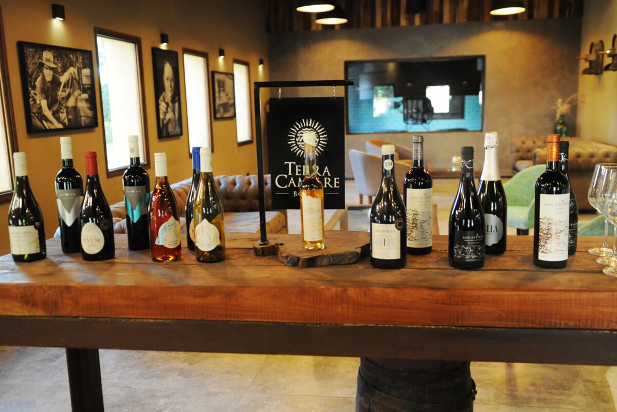 La variedad de vinos que produce la bodega permite tener un buen panorama del vino cordobés (Javier Ferreyra).