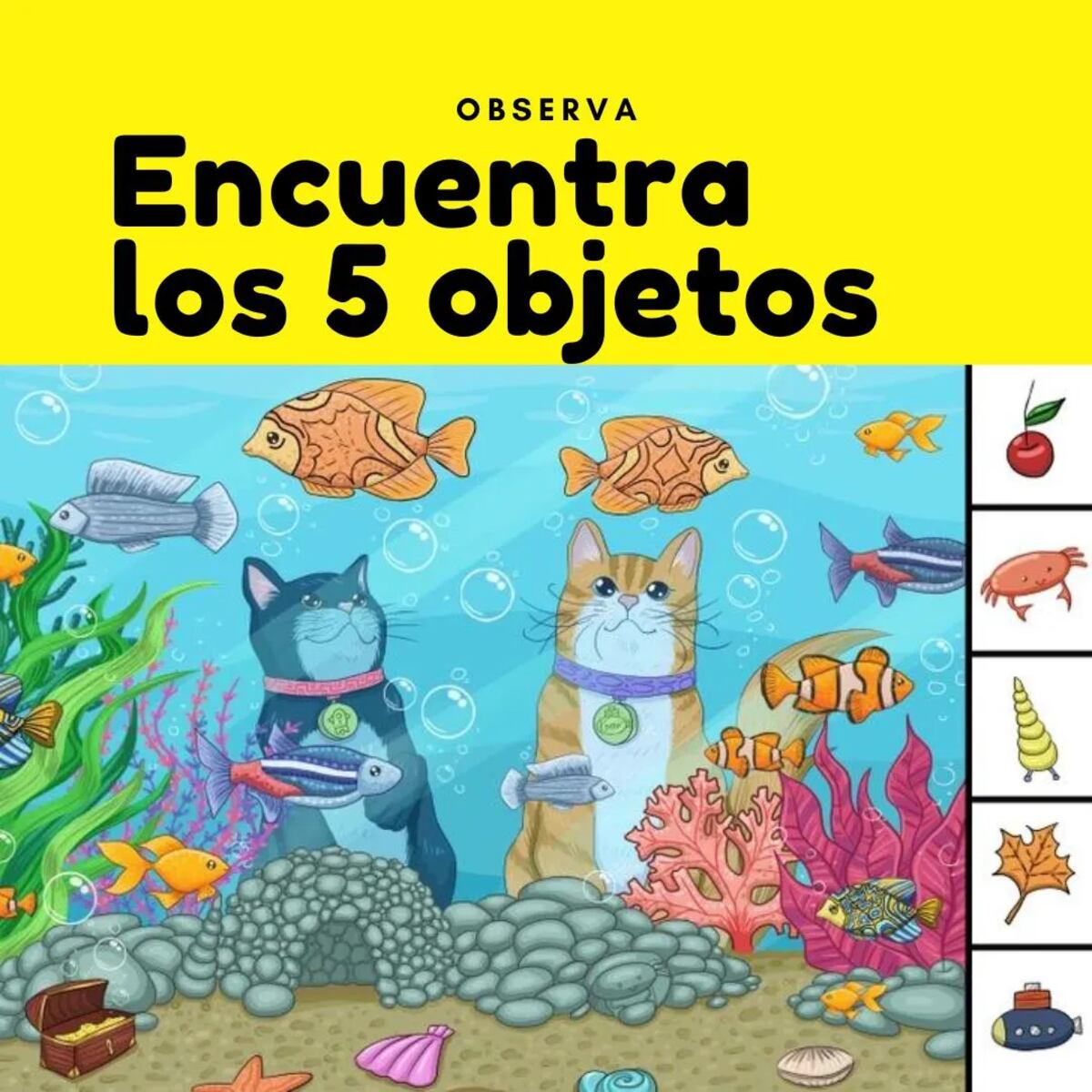 Este es el desafío.