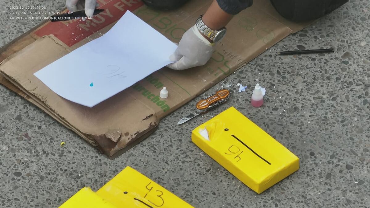 Operativo con secuestro de un gran cargamento de cocaína. (PFA)