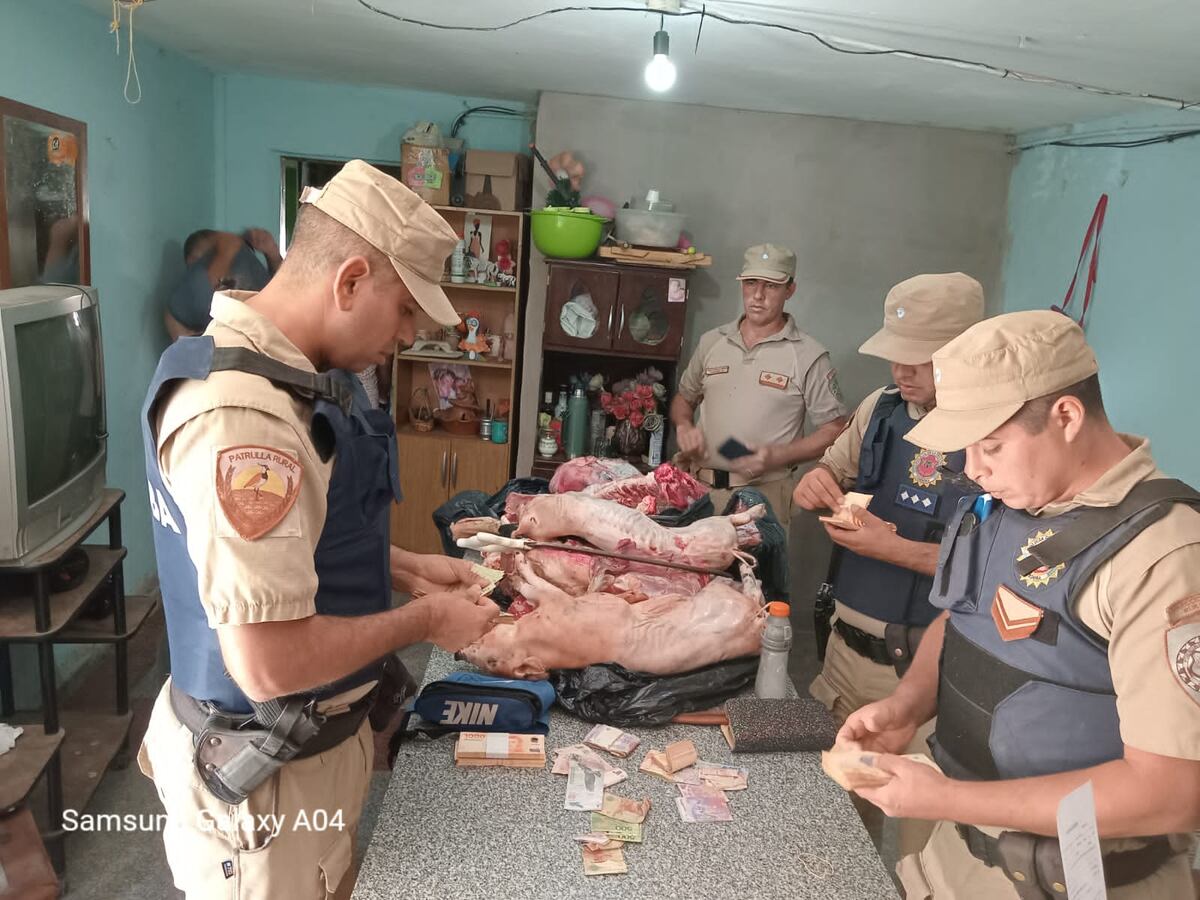 Secuestraron carne faenada de manera clandestina en dos procedimientos ocurridos en el interior de Córdoba. (Policía de Córdoba)