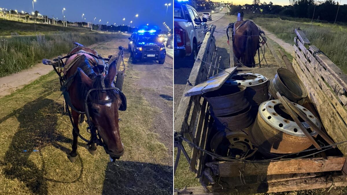 Córdoba: llevaba nueve llantas robadas de una gomería y terminó detenido