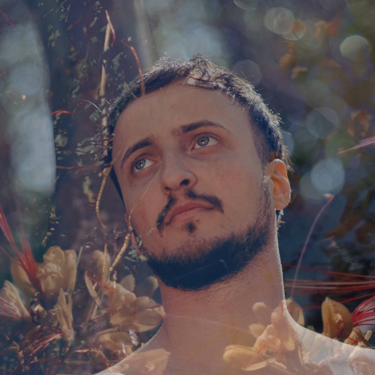La tapa de "El precipicio de la primavera", segundo álbum de Simón Ferracuti. (Gentileza Lui Tobar Suizer).