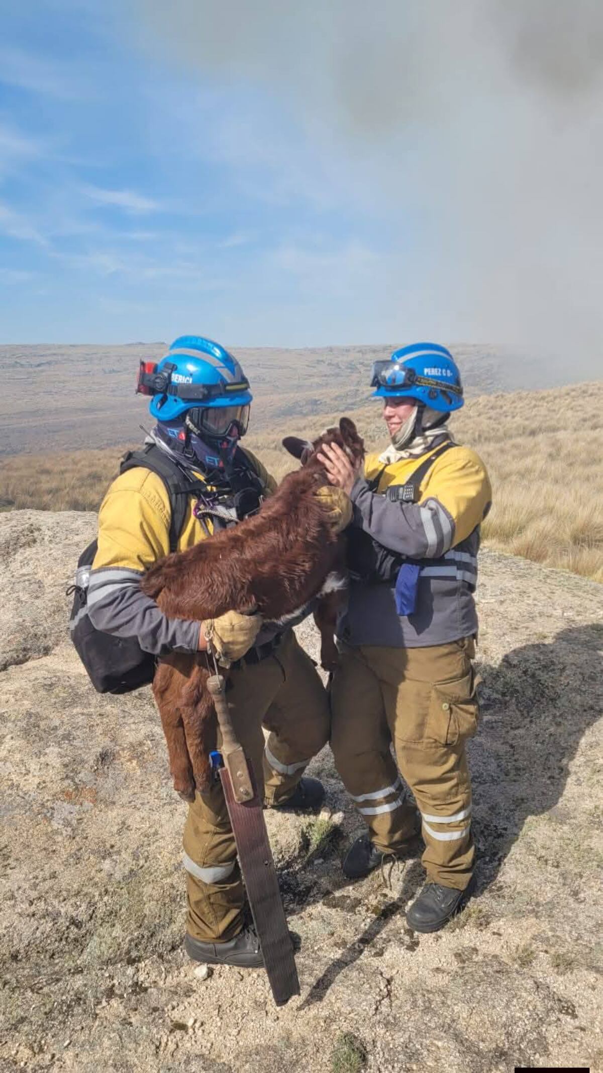 Un ternero fue rescatado en las Altas Cumbres. (Bomberos Córdoba)