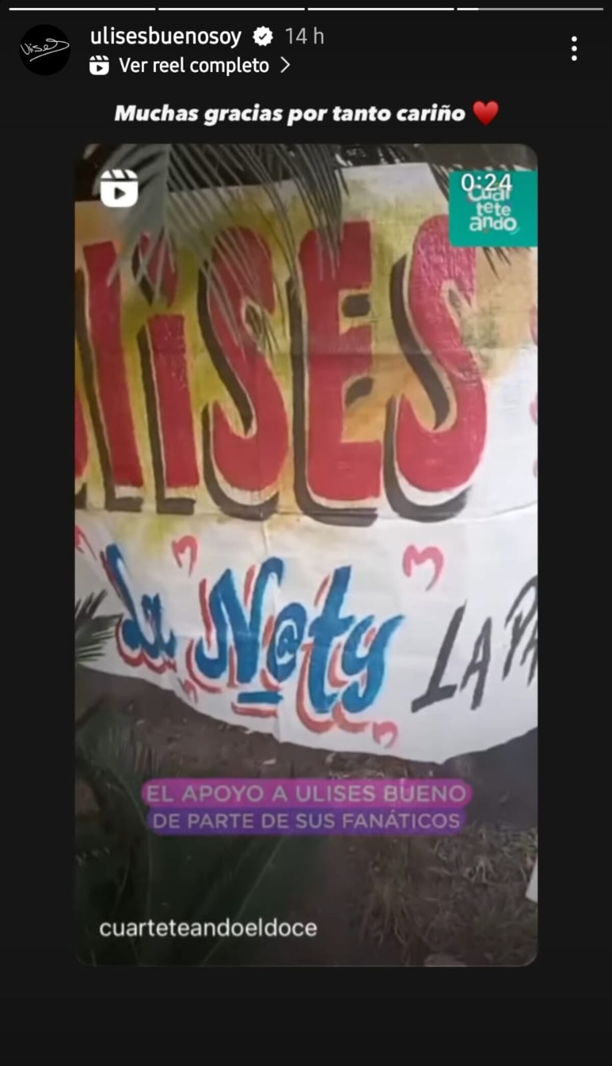 Natalia es la fanática de Ulises Bueno que organizó una acción con la gente para darle fuerzas al cantante en su recuperación (Captura de pantalla)