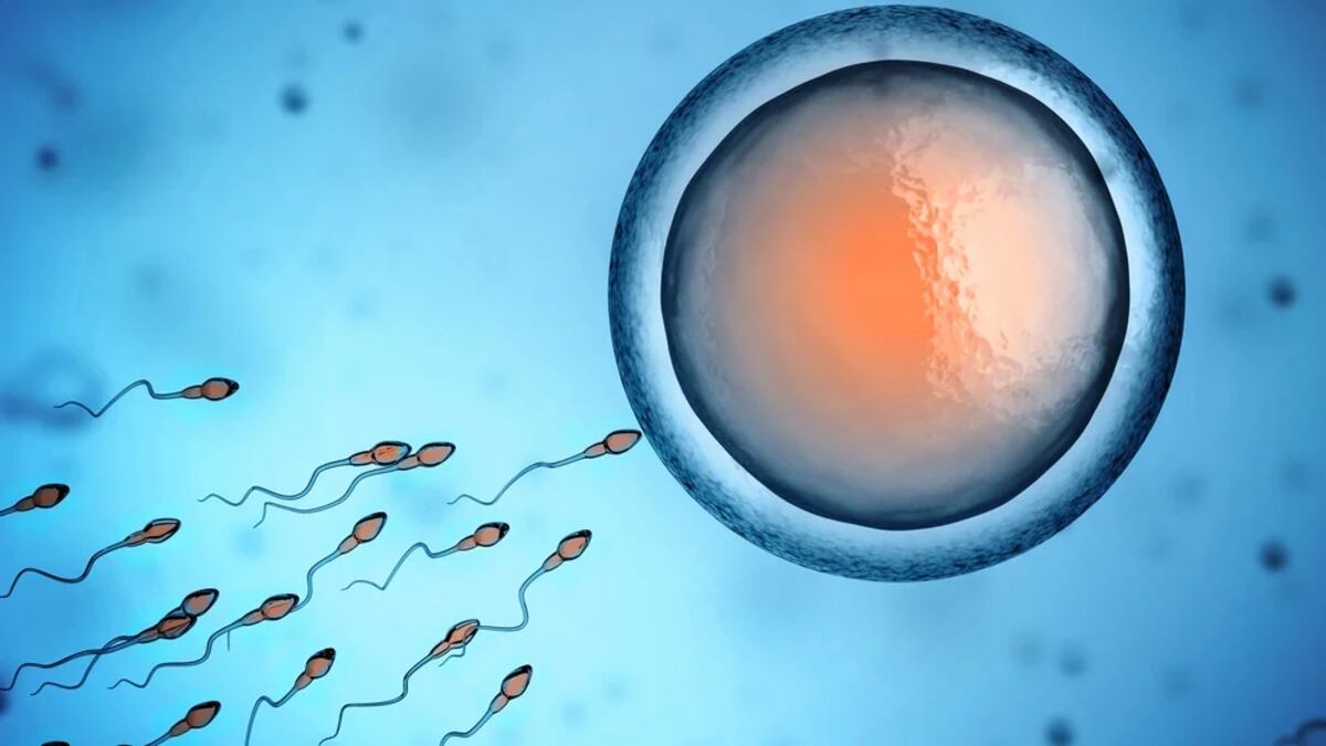 La calidad de los espermatozoides y la testosterona continúa bajando a toda velocidad.(Getty Images)