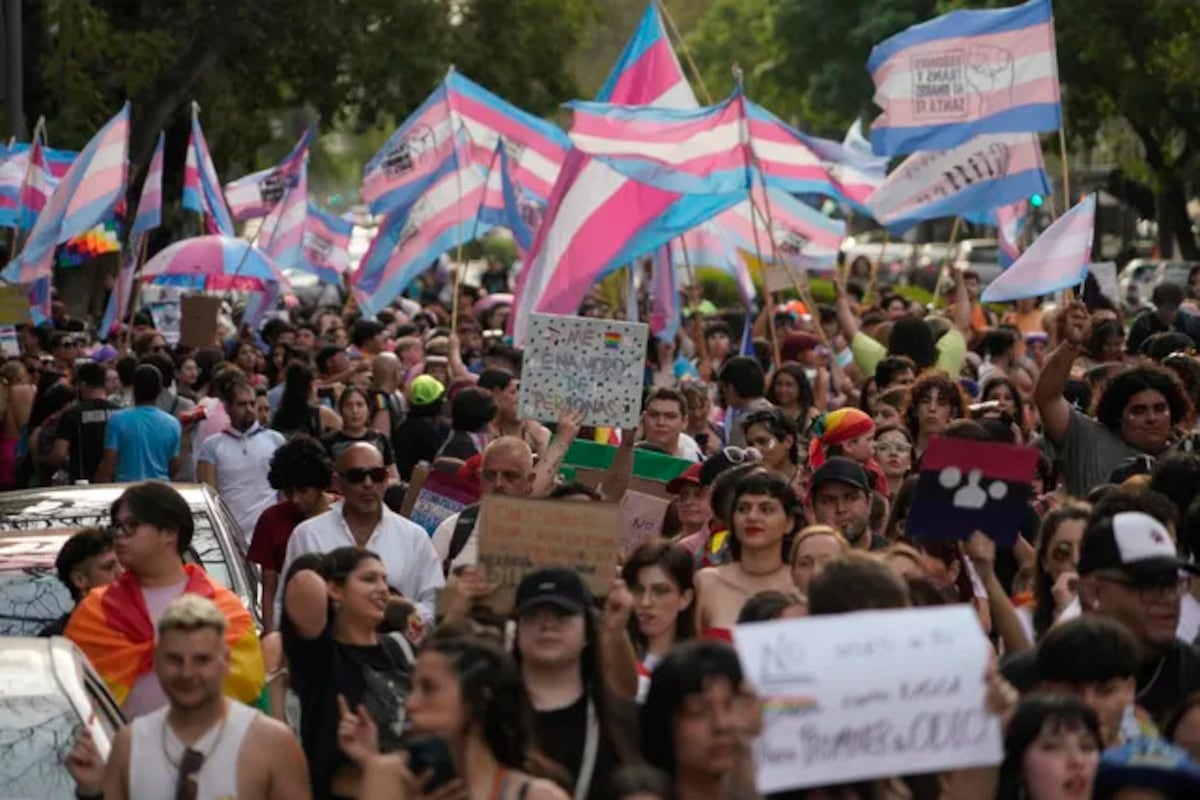 Marcha antifascista en Rosario. (La Capital)
