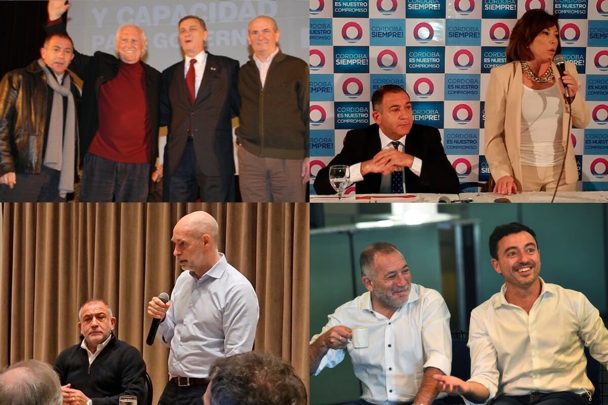 Del peronismo a sumarse a las filas de Milei: la vida política de Luis Juez (Collage).