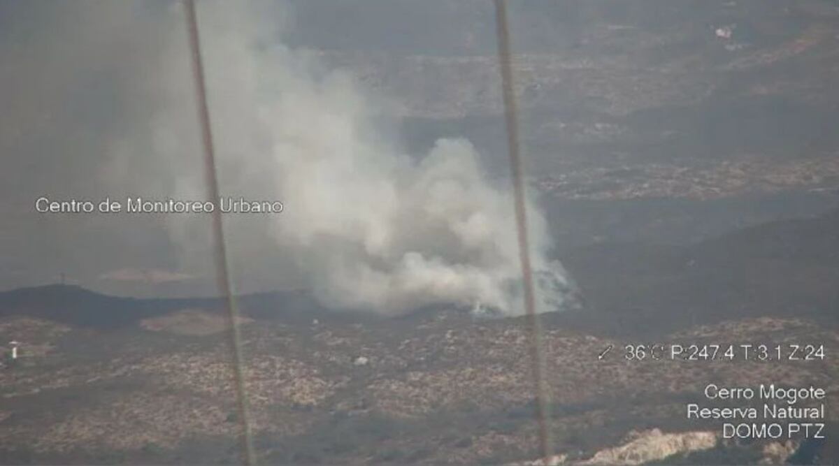 Desde el aire. Incendio en el predio de la Conae.