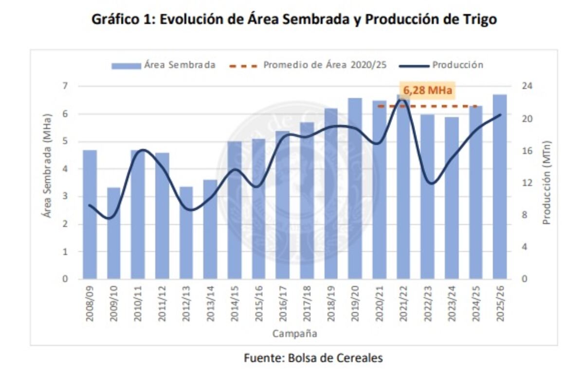 Estimación de superficie sembrada de trigo
