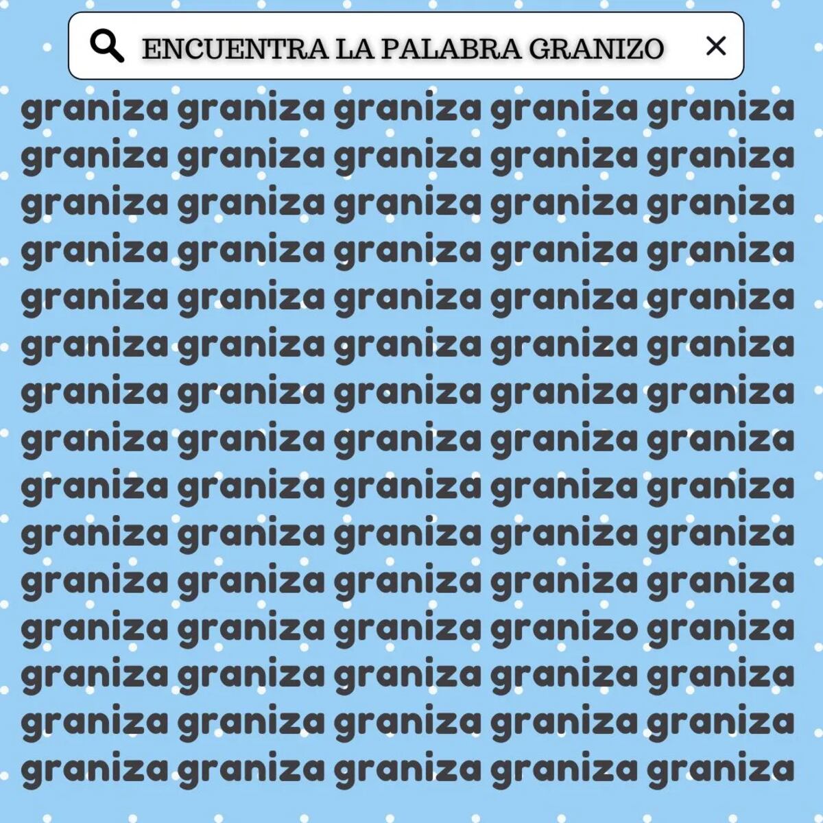 El acertijo visual.