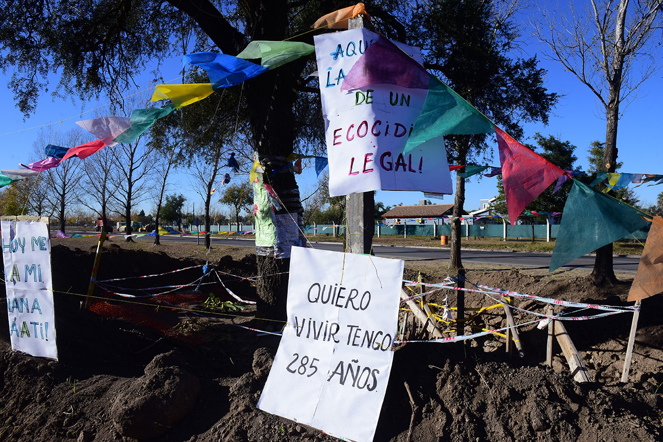 Los últimos mensajes de los vecinos y ambientalistas en el árbol. (José Gabriel Hernández / La Voz)