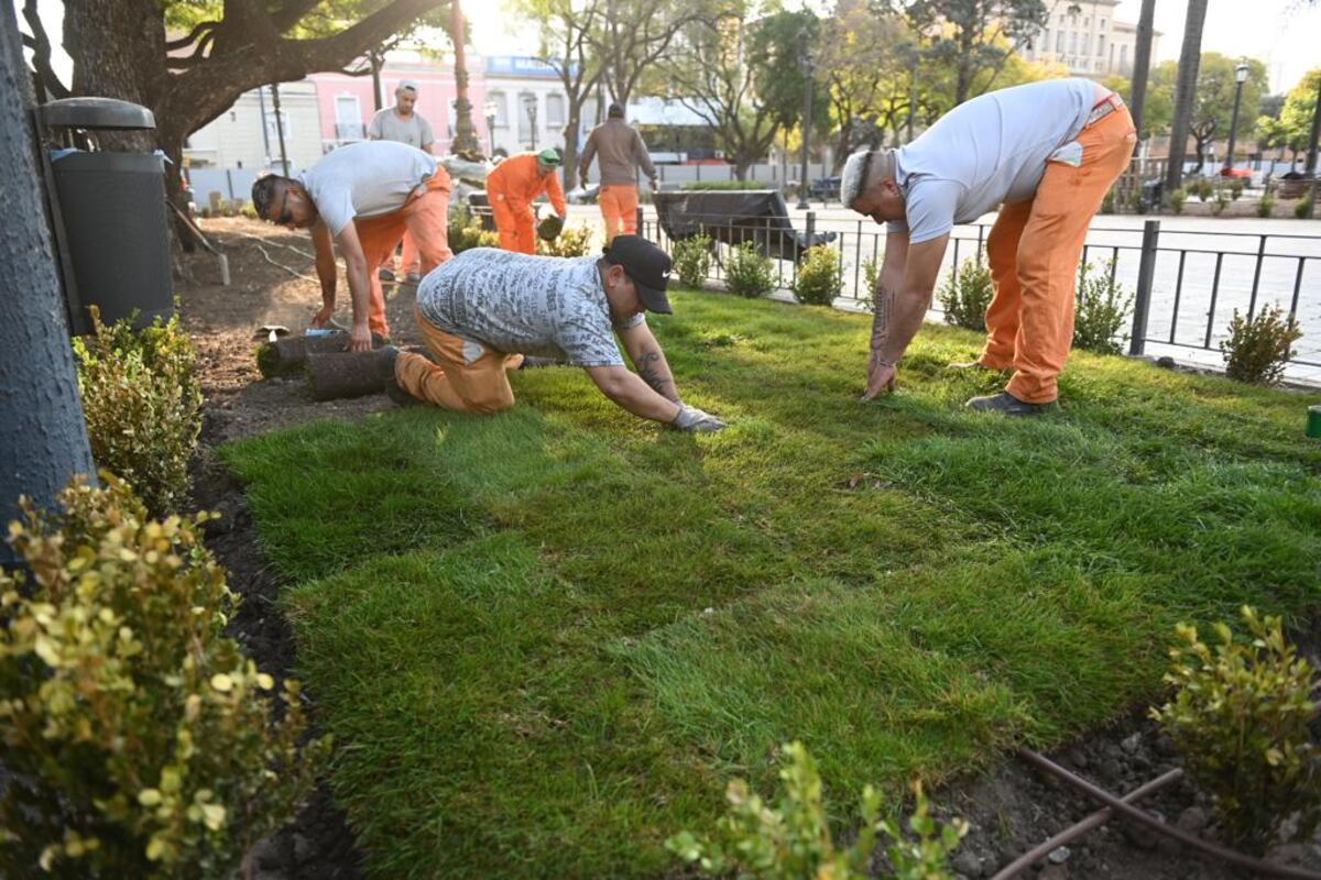 Así avanzan los trabajos de remodelación de la Plaza Colón. La Municipalidad dio a conocer nuevas imágenes de este martes y la colocación de unos 40 árboles de gran porte. (Municipalidad de Córdoba)
