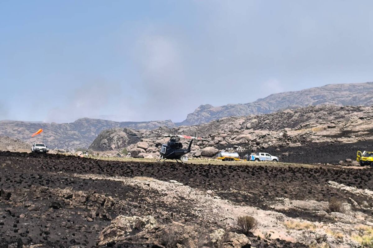 Todos los recursos están puestos para apagar el fuego. (APN)