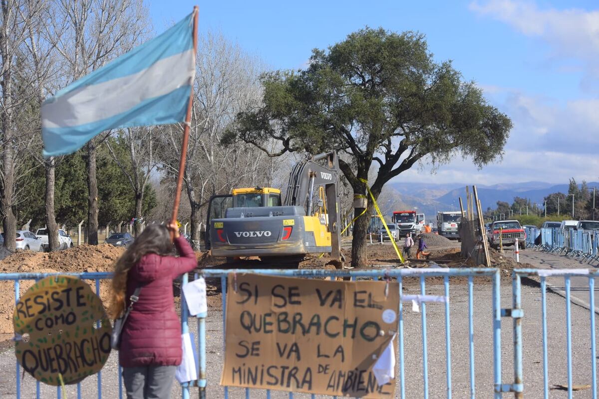 Trabajos para retirar el árbol de su lugar original. (La Voz/José Gabriel Hernández)