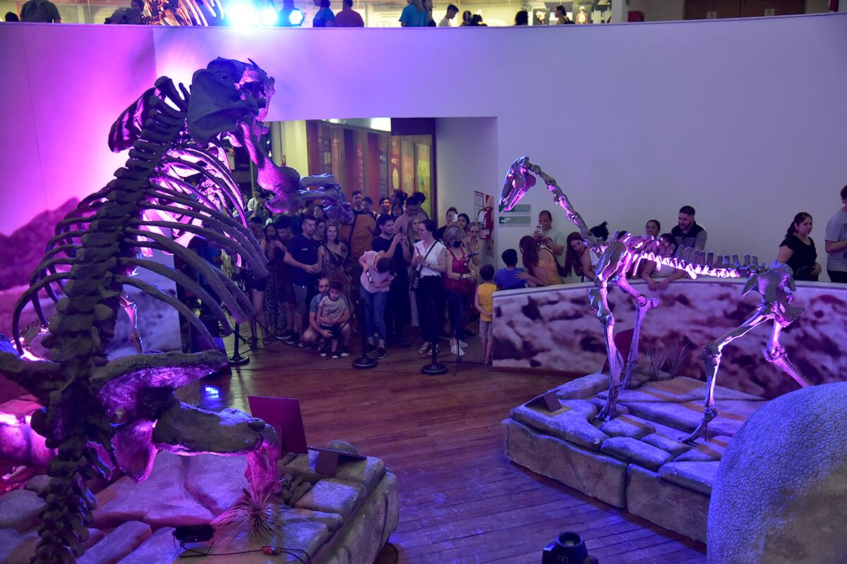 Un clásico. La Noche de los Museos incluyó más de 200 espacios de toda la provincia, con muestras de arte, de ciencia y tecnología y de antropología, entre otras. (Facundo Luque / La Voz)