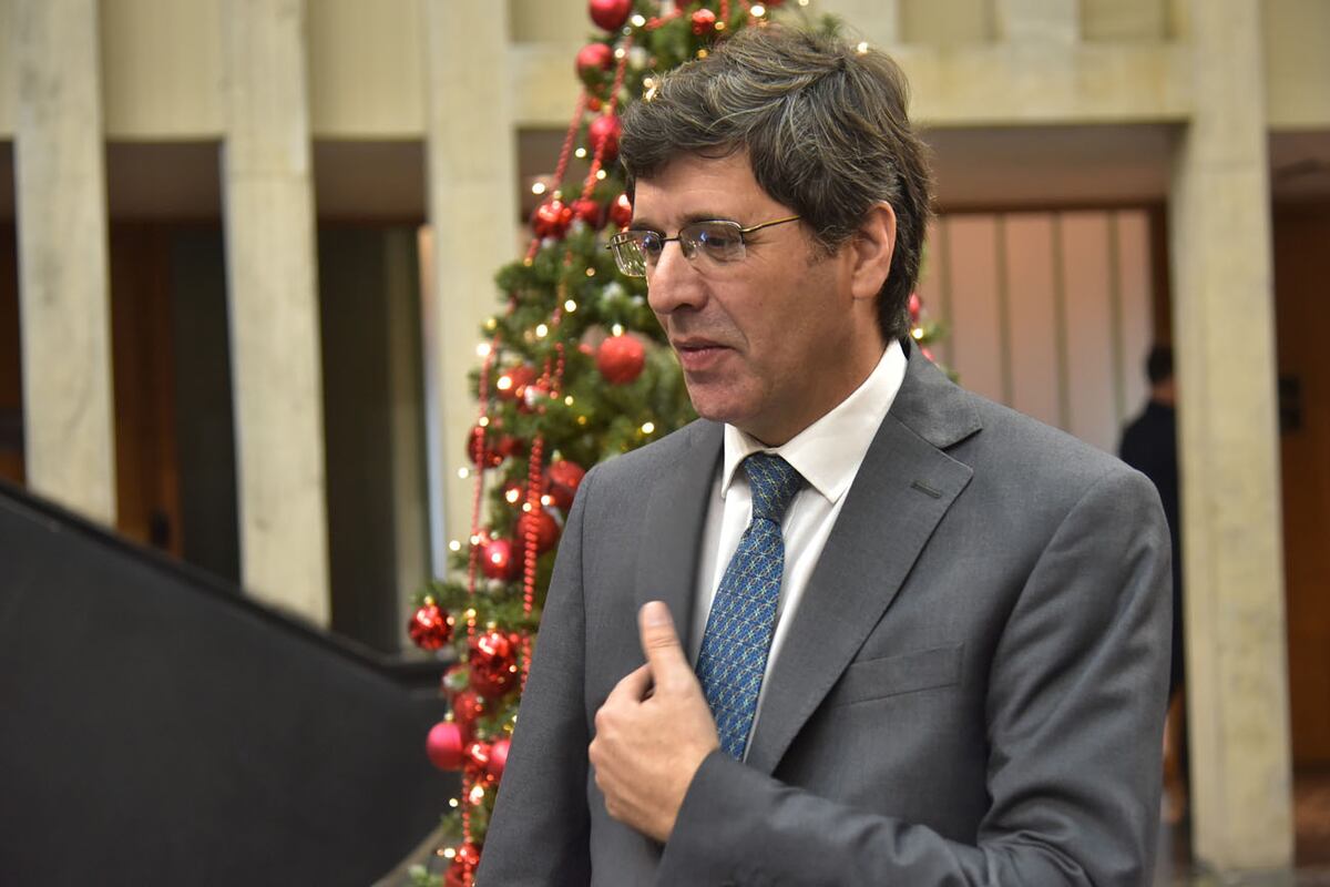 Unicameral: Rodrigo Agrelo, legislador de Encuentro Vecinal Córdoba. ( Ramiro Pereyra /La Voz)