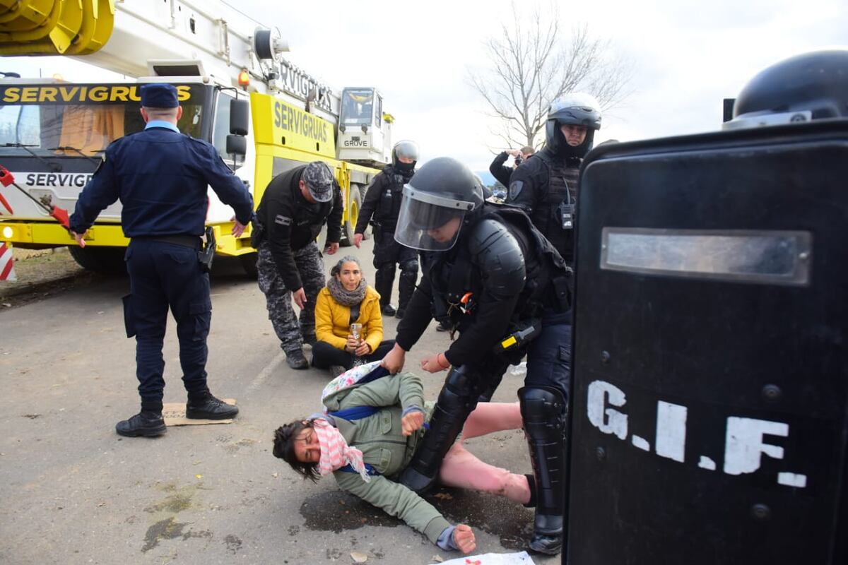 Incidentes en el operativo del traslado del quebracho. (La Voz)