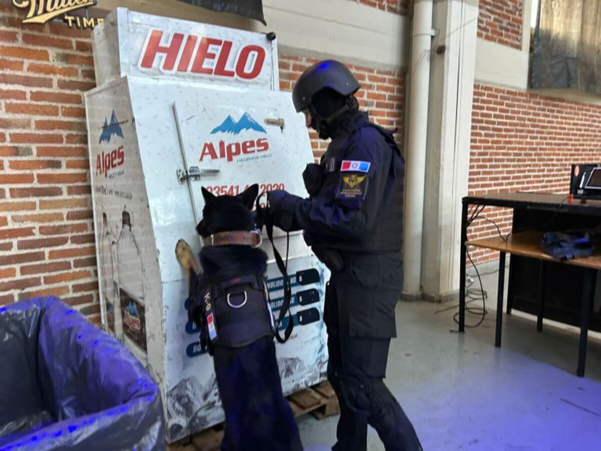 Desarticularon una red de drogas en una fiesta electrónica en Córdoba. (MPF)