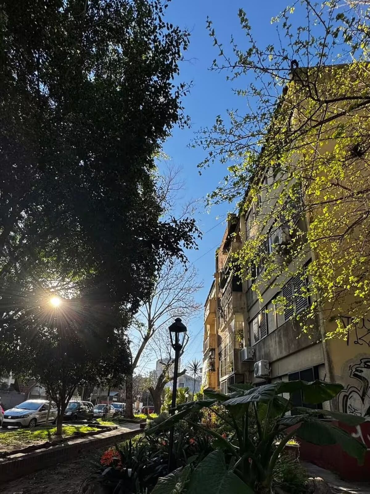Escapada de ensueño: la calle “escondida” de Buenos Aires que sorprende con un túnel verde natural