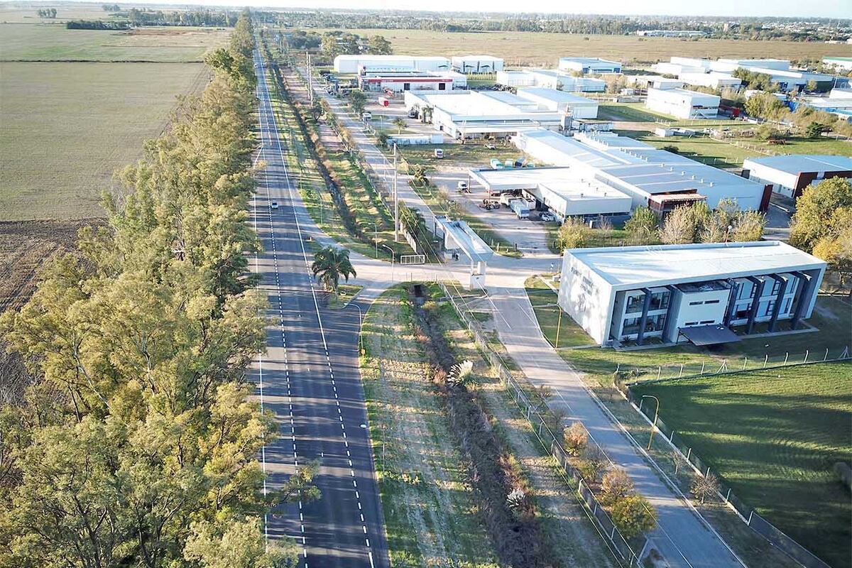 El parque cuenta con cerca de 20.000 árboles, convirtiéndose así en un pulmón verde muy importante para la ciudad.