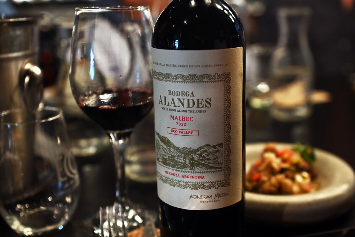 El malbec como herramienta permite recorrer los paisajes de la Cordillera en su diferente latitud y altura (Foto: Javier Ferreyra / La Voz)