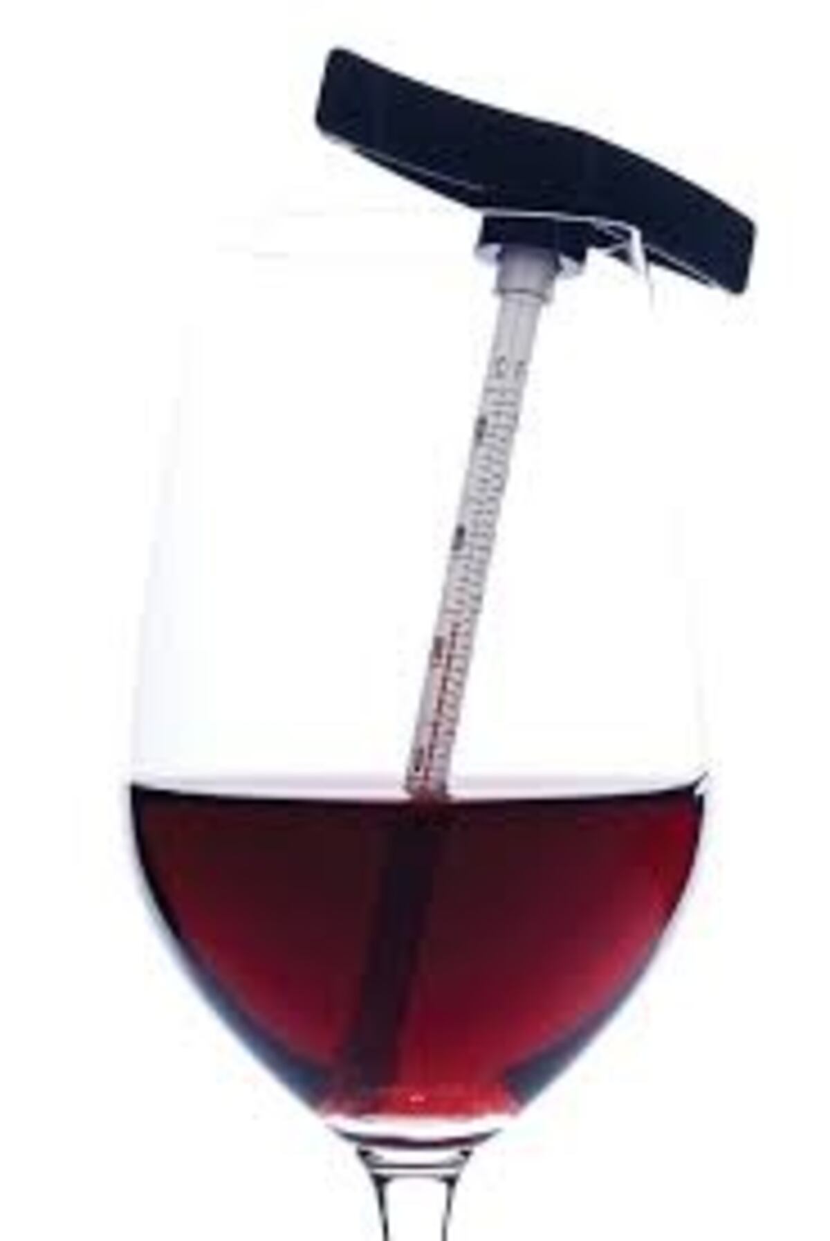 Cuál es la temperatura ideal para servir cada tipo de vino y potenciar su sabor