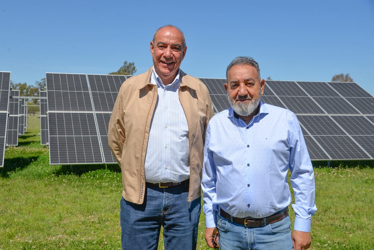 Ecovatio aporta soluciones para instituciones, pymes e industrias.