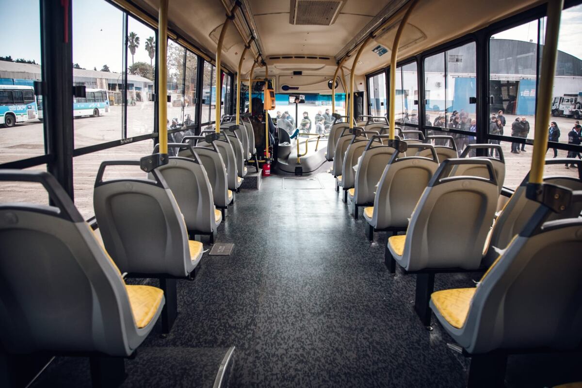 Tamse incorporó 20 unidades nuevas de piso adaptadas con rampas hidráulicas para el acceso de personas con silla de ruedas. (Municipalidad de Córdoba)