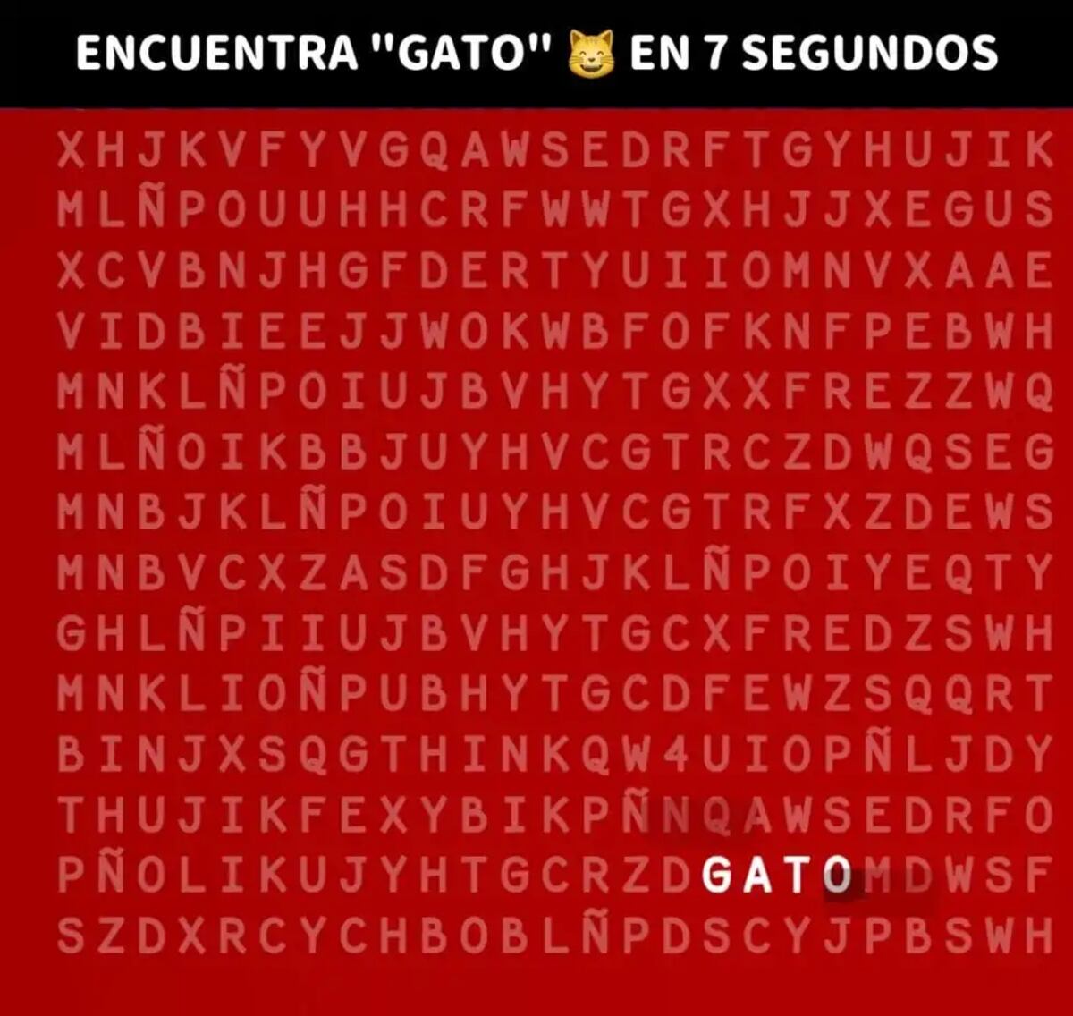 La solución del acertijo visual.