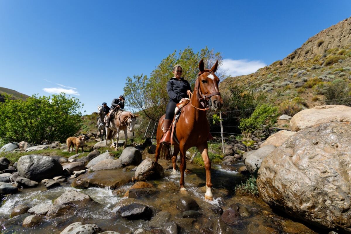 Actividades para realizar en El Calafate. (Foto: Patagonia Chic)