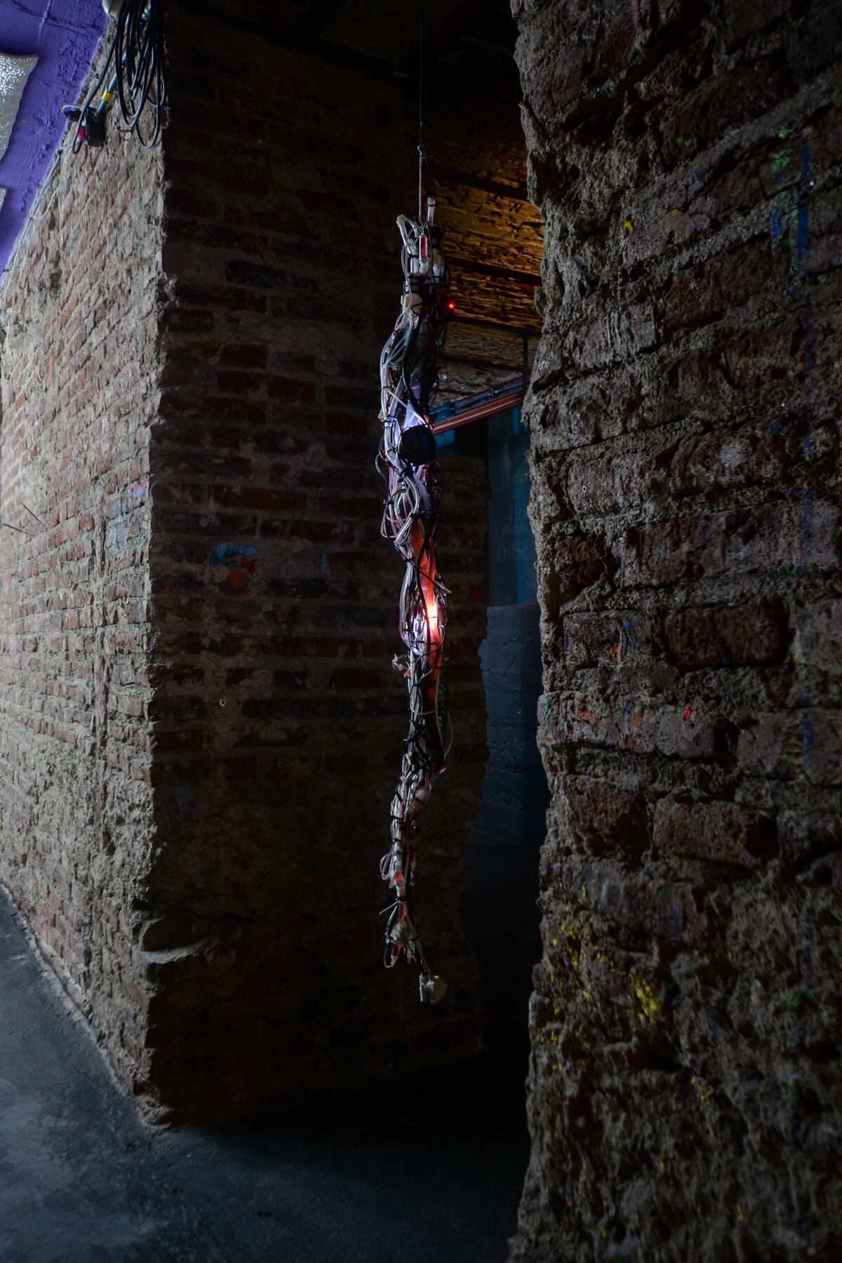Obra de Andrés Belfanti (foto: Guadalupe Fassi).