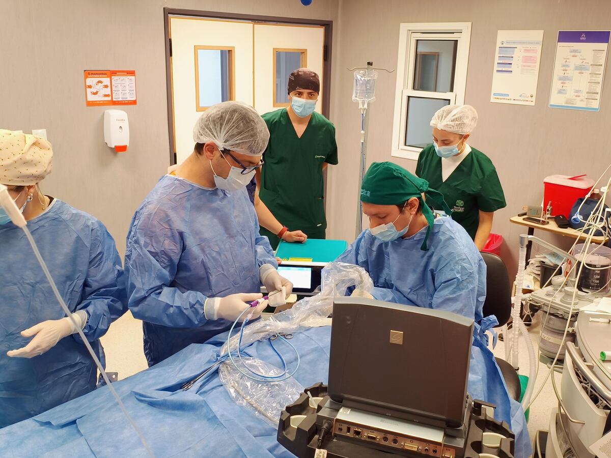 Primera ablación por microondas de tiroides en un hospital público de Córdoba.