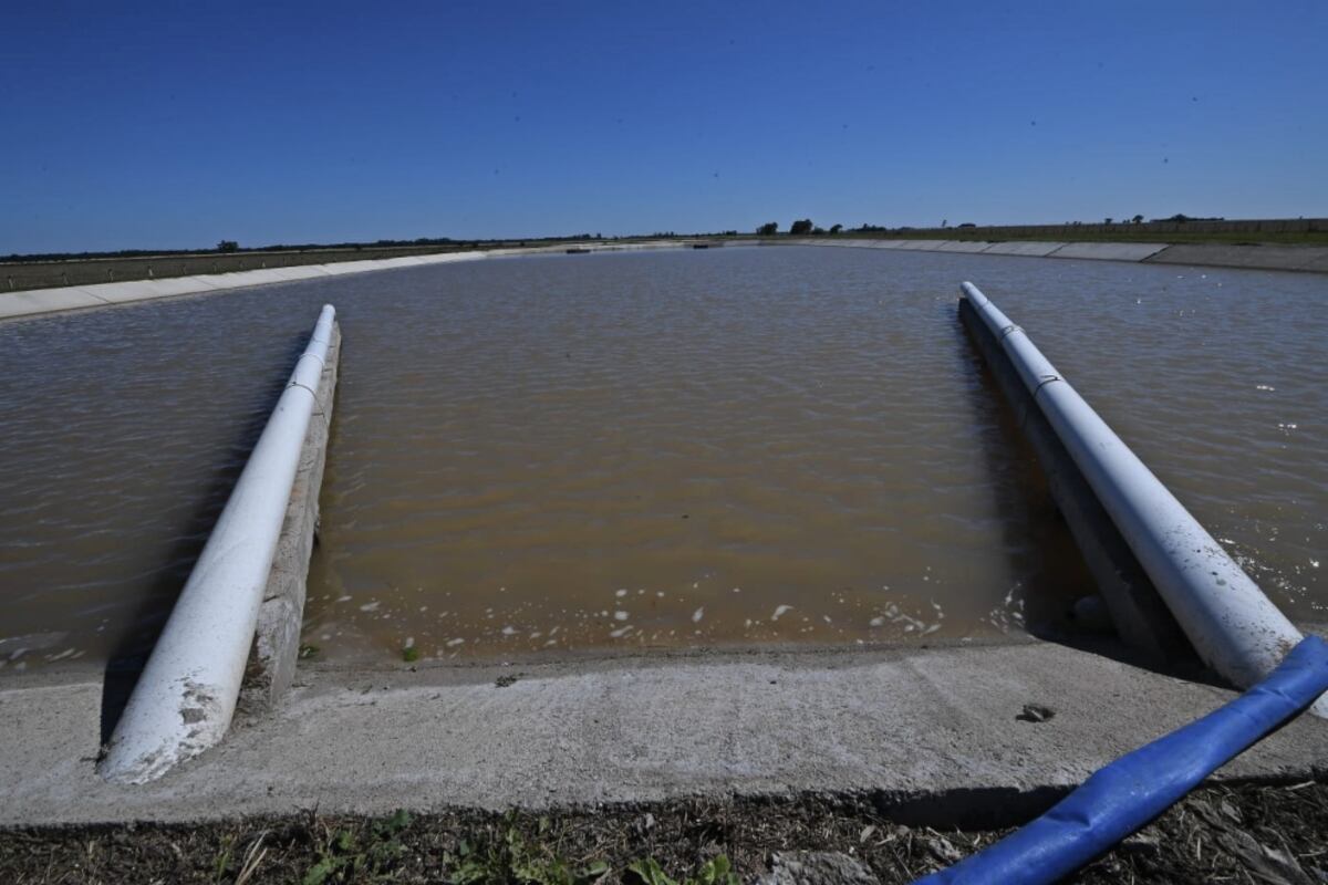 Inauguran planta de tratamiento cloacal en Las Perdices. (Provincia).