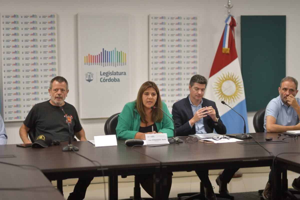 La Comisión de Seguridad trabajará en las próximas semanas una nueva legislación para mejorar la seguridad en ríos y lagos de Córdoba.