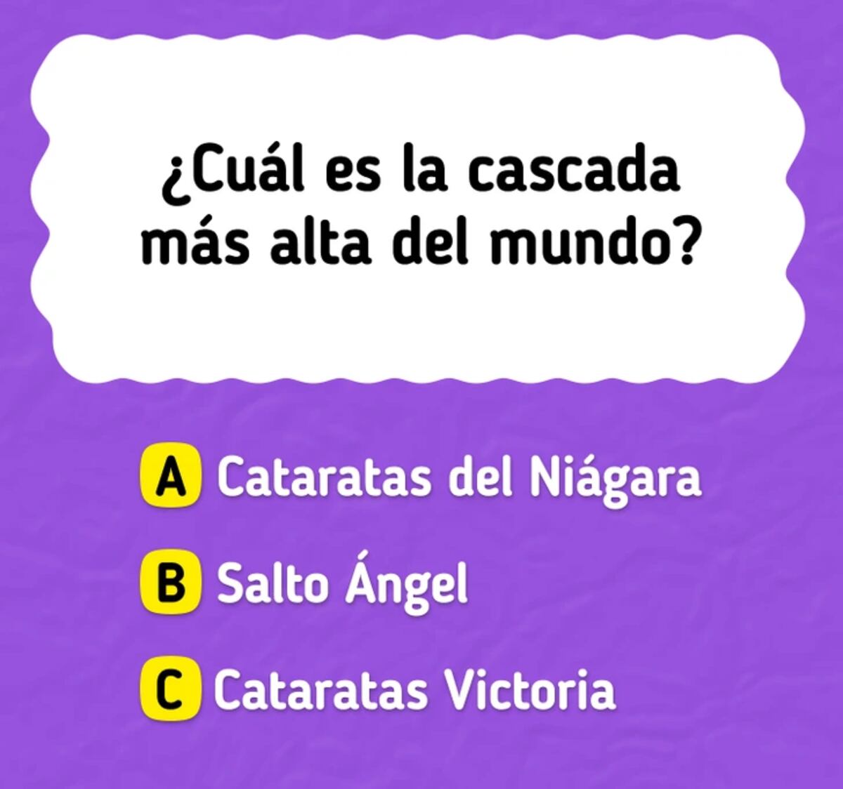El acertijo visual.