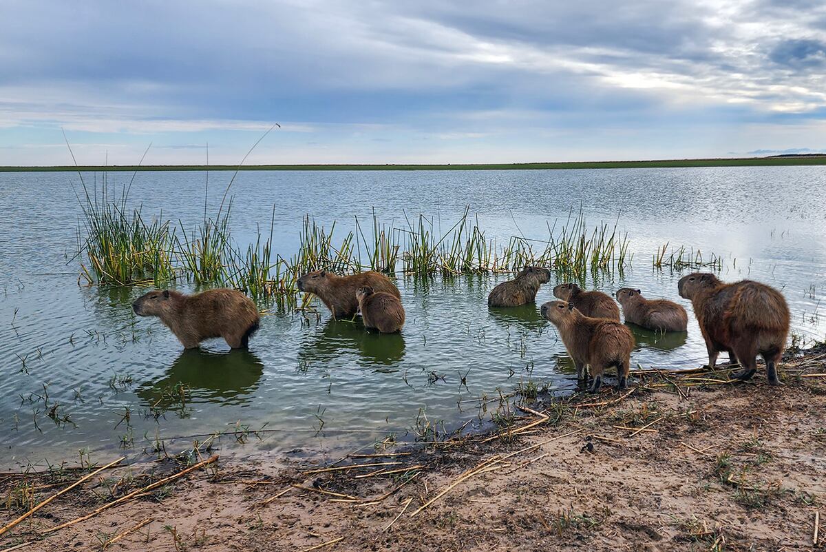 Un viaje por distintos rincones de Corrientes, una encantadora provincia del litoral argentino. (Foto: Daniel Santos)