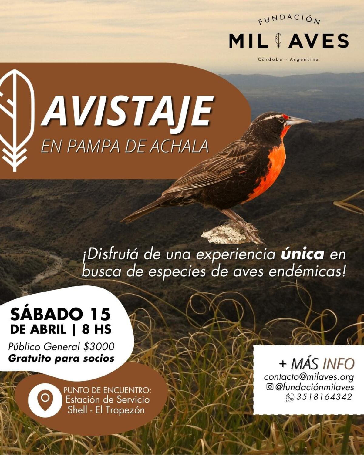 Fundación Mil Aves
