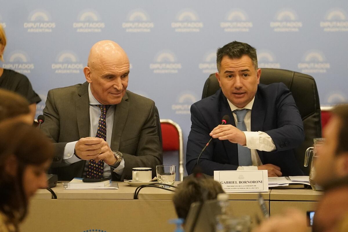 José Luis Espert y Gabriel Bornoroni, presidentes de las comisiones de Presupuesto y Legislación General. ( Clarín )