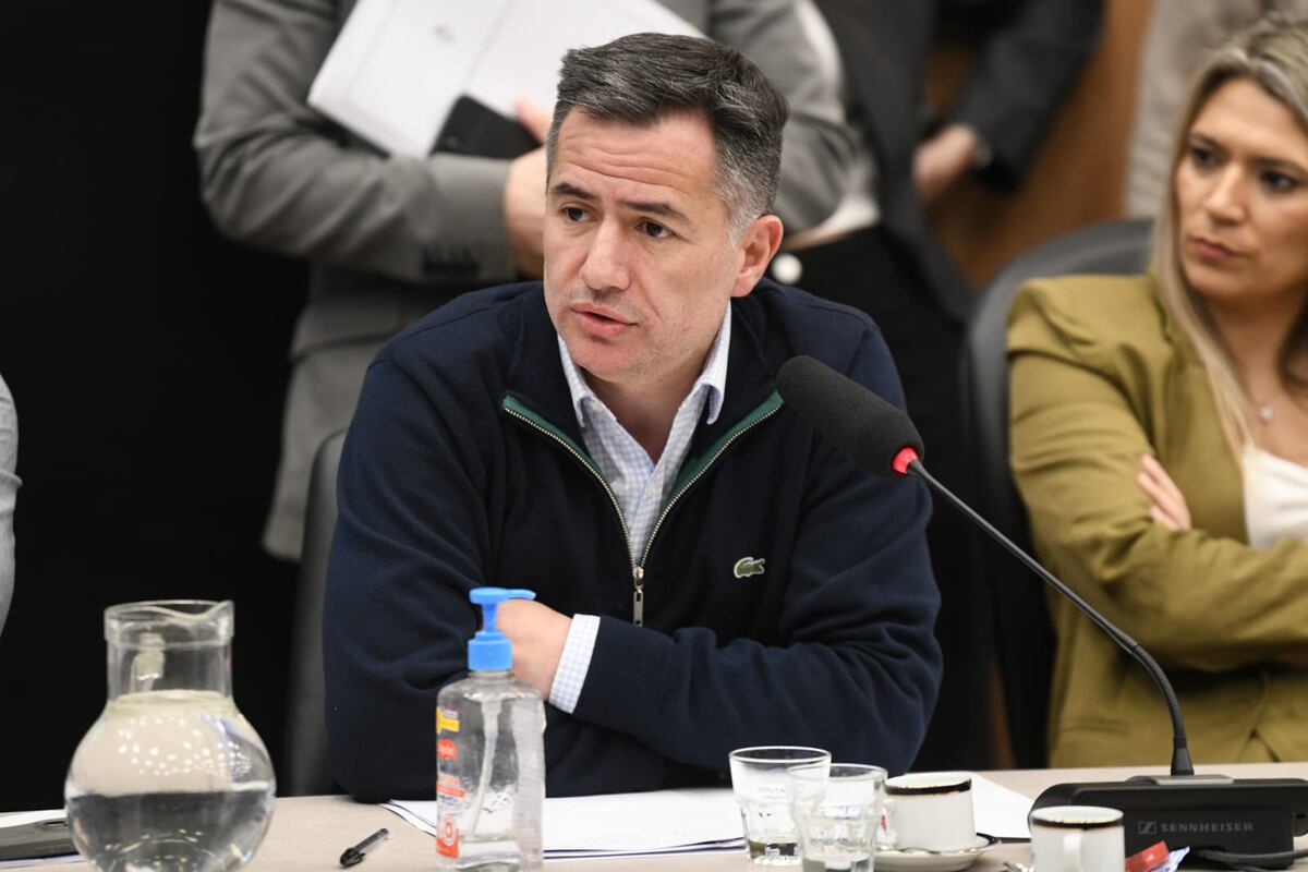Gabriel Bornoroni, jefe de La Libertad Avanza, impugnó la elección de autoridades (Foto: HCDN)